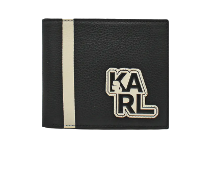 Karl Lagerfeld Cartera