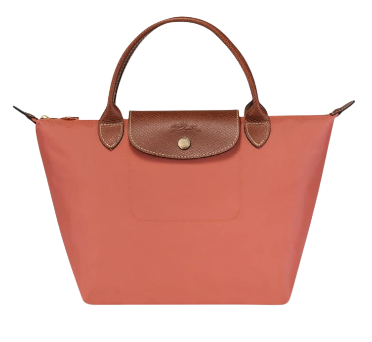 LongChamp Chica Rosa
